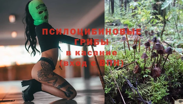 стаф Балабаново