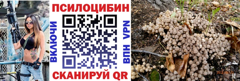 Псилоцибиновые грибы мицелий  где купить наркоту  Оленегорск 