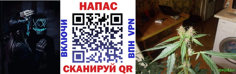 закладки Оленегорск МАРИХУАНА Bruce Banner